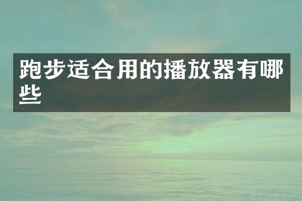 跑步适合用的播放器有哪些