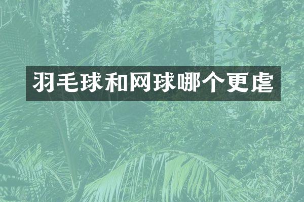 羽毛球和网球哪个更虐