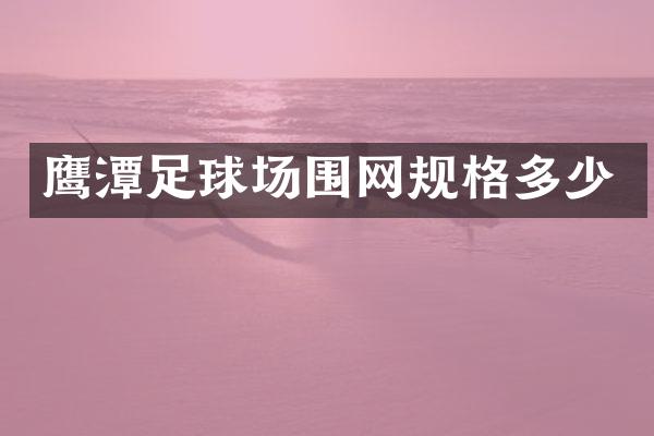 鹰潭足球场围网规格多少