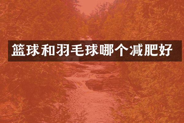 篮球和羽毛球哪个减肥好