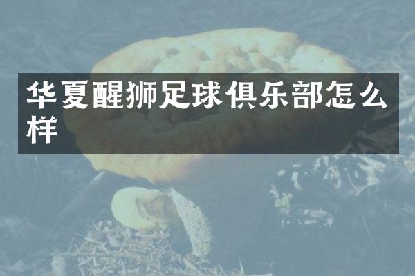 华夏醒狮足球俱乐部怎么样