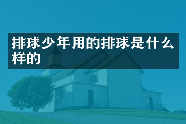 排球少年用的排球是什么样的