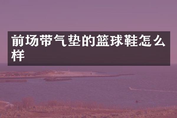 前场带气垫的篮球鞋怎么样