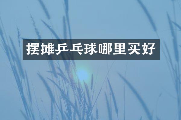 摆摊乒乓球哪里买好