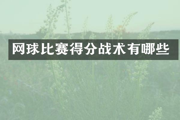网球比赛得分战术有哪些