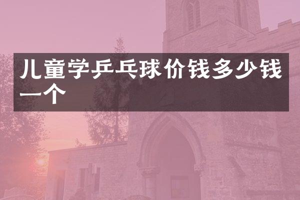 儿童学乒乓球价钱多少钱一个