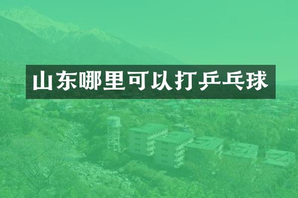 山东哪里可以打乒乓球