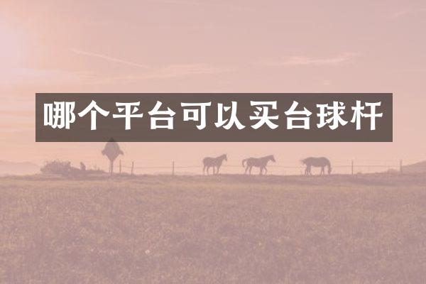 哪个平台可以买台球杆