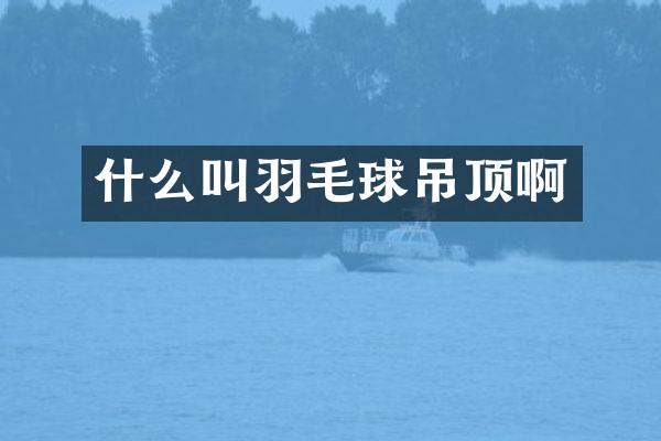 什么叫羽毛球吊顶啊