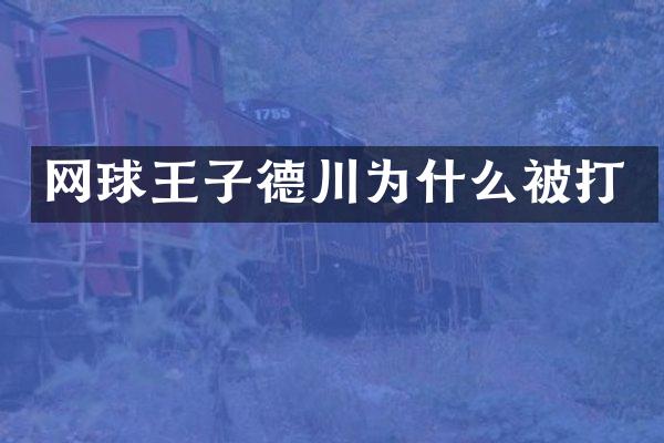 网球王子德川为什么被打