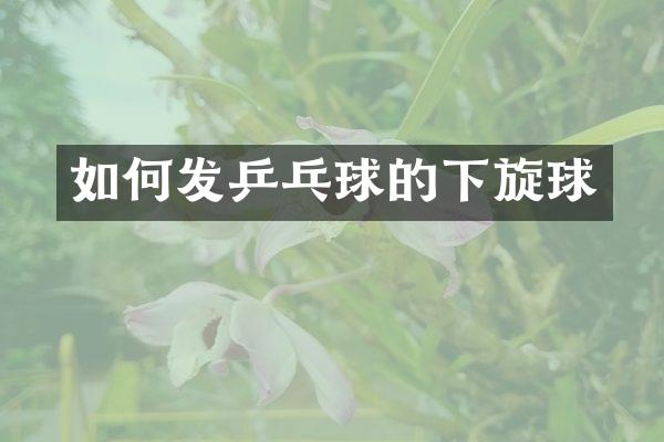 如何发乒乓球的下旋球