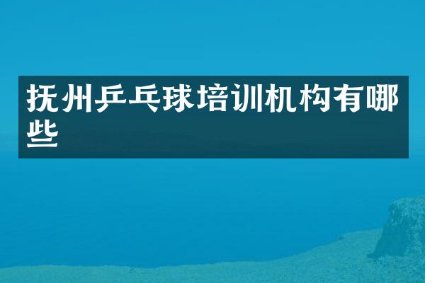 抚州乒乓球培训机构有哪些