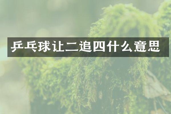 乒乓球让二追四什么意思