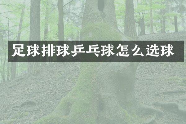 足球排球乒乓球怎么选球