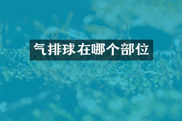 气排球在哪个部位
