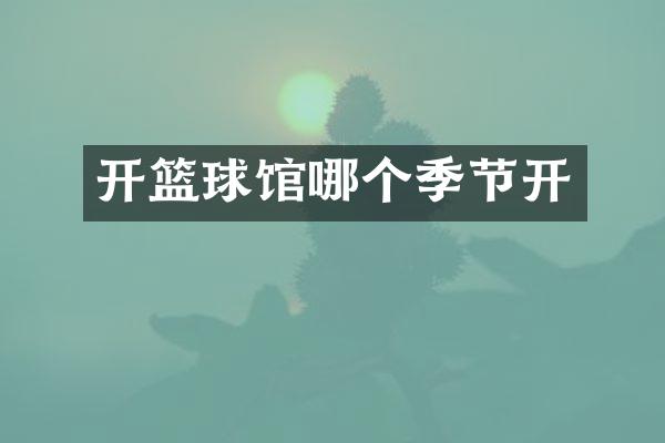 开篮球馆哪个季节开