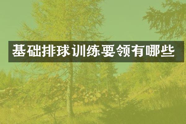 基础排球训练要领有哪些