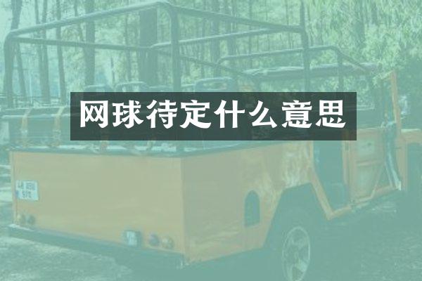 网球待定什么意思