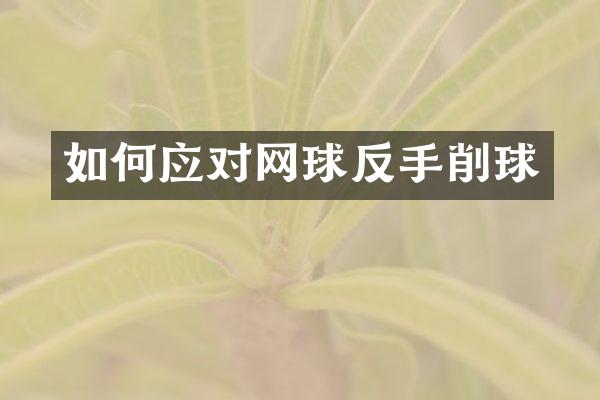 如何应对网球反手削球