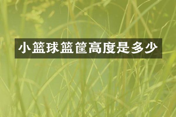 小篮球篮筐高度是多少