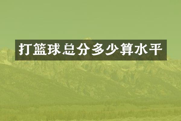 打篮球总分多少算水平