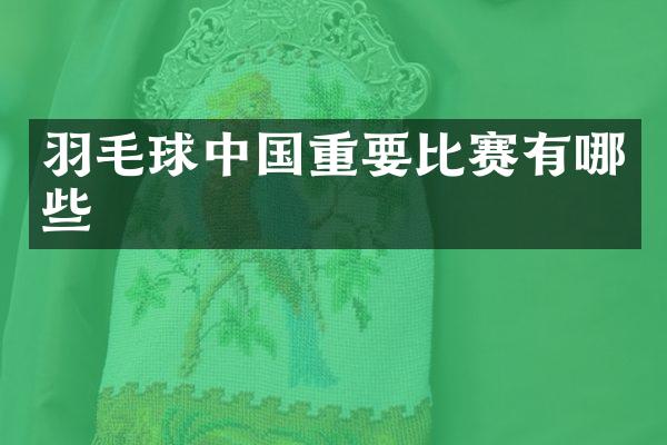 羽毛球中国重要比赛有哪些