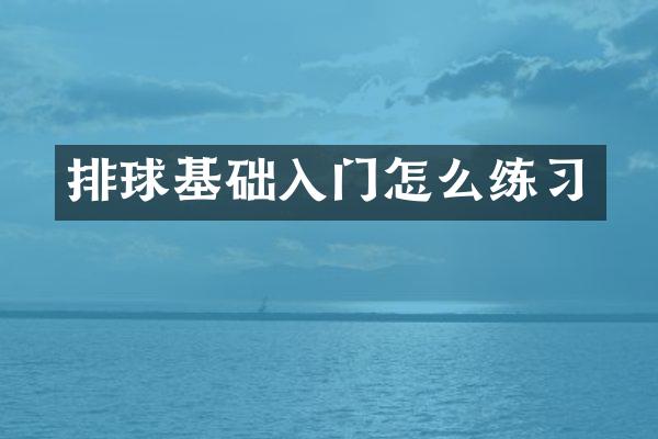 排球基础入门怎么练习