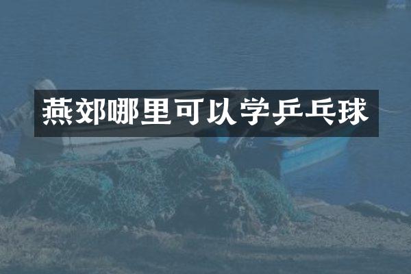 燕郊哪里可以学乒乓球
