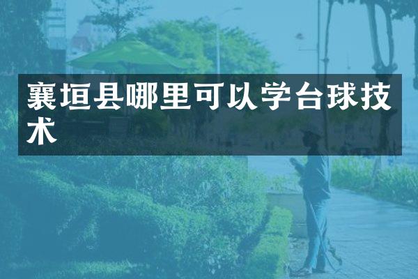 襄垣县哪里可以学台球技术