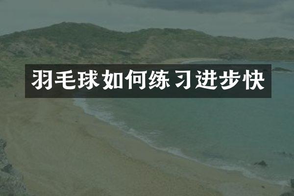 羽毛球如何练习进步快