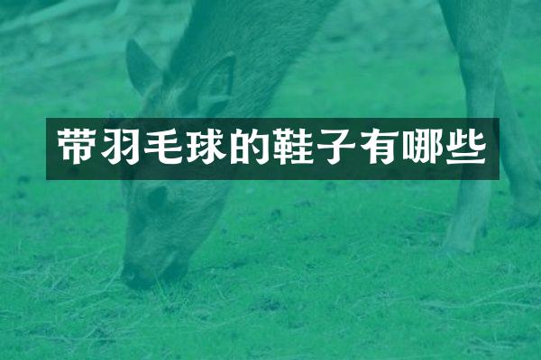 带羽毛球的鞋子有哪些