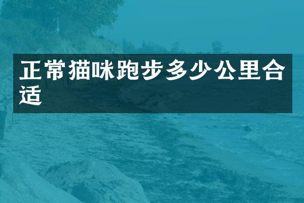 正常猫咪跑步多少公里合适