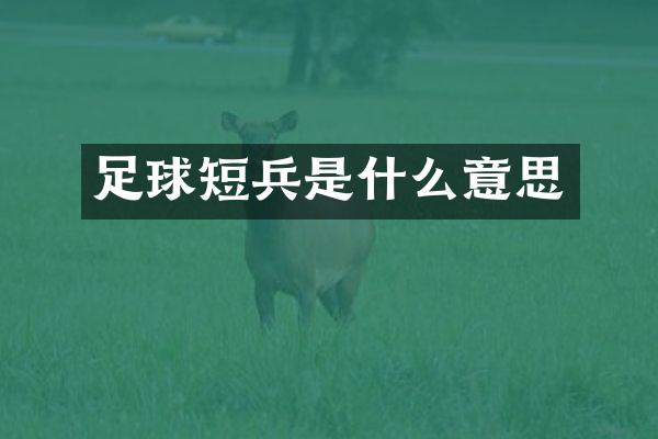 足球短兵是什么意思