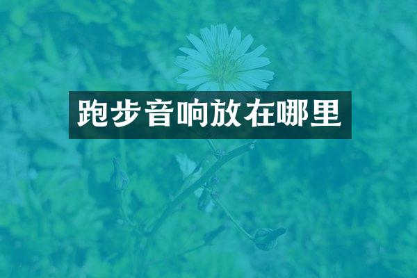 跑步音响放在哪里