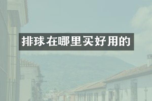 排球在哪里买好用的