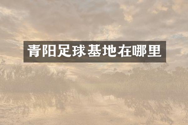 青阳足球基地在哪里