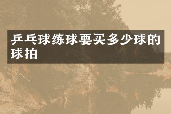 乒乓球练球要买多少球的球拍