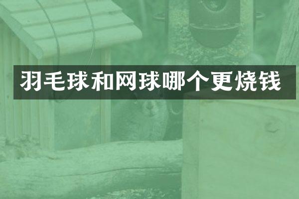 羽毛球和网球哪个更烧钱