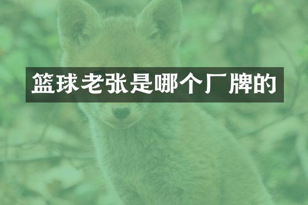 篮球老张是哪个厂牌的