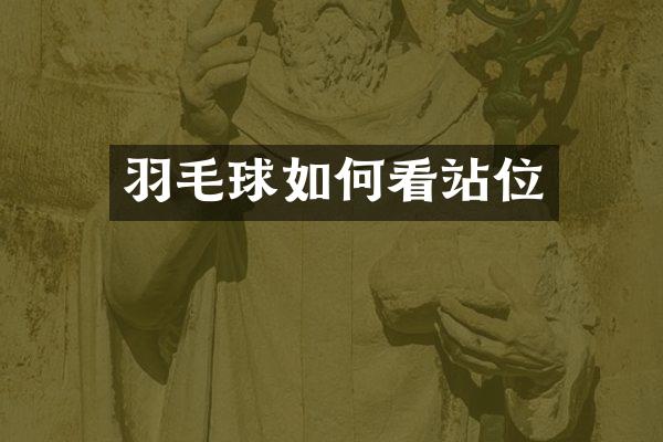 羽毛球如何看站位