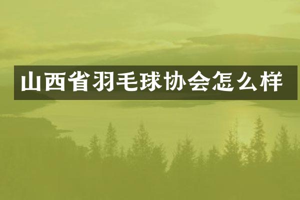 山西省羽毛球协会怎么样
