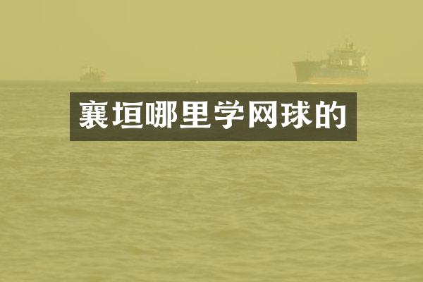 襄垣哪里学网球的