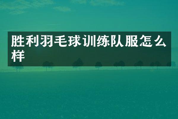 胜利羽毛球训练队服怎么样