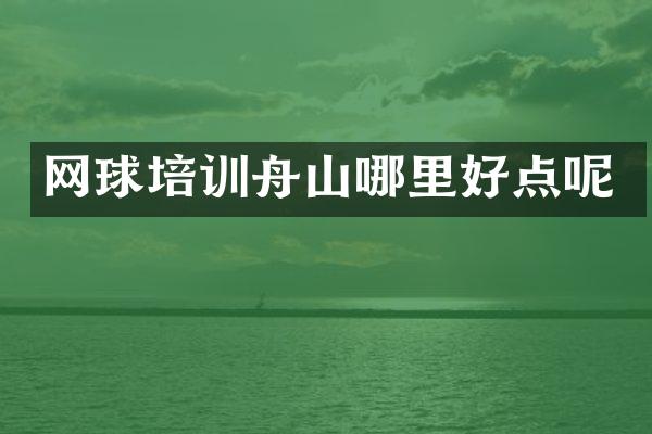网球培训舟山哪里好点呢