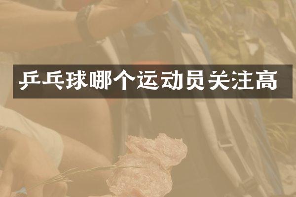 乒乓球哪个运动员关注高
