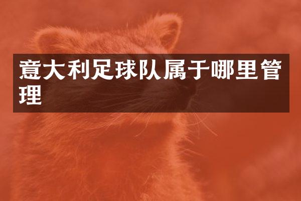 意大利足球队属于哪里管理