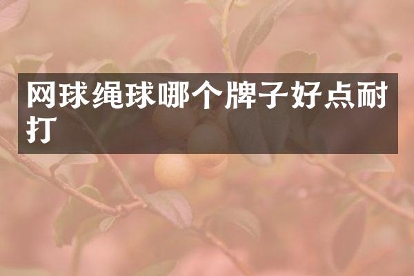 网球绳球哪个牌子好点耐打