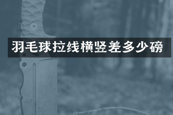羽毛球拉线横竖差多少磅