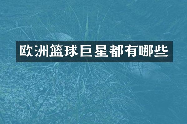 欧洲篮球巨星都有哪些