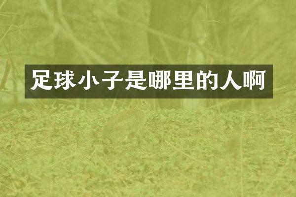 足球小子是哪里的人啊